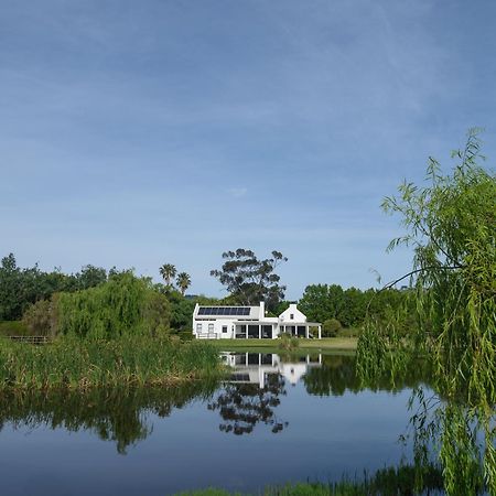 Sanddrif Guest Farm Stellenbosch Exterior foto